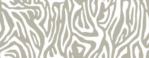 White zebra stripes seamless pattern. Animal skin for print textile design. Line background, fashion fabric art. Abstract curved lines ornament vector