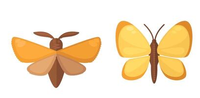 varios mariposas vistoso conjunto vector