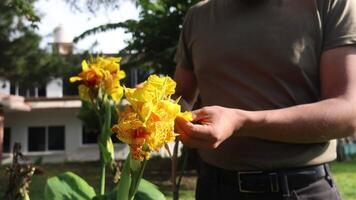 Man admires vibrant yellow flowers in a lush garden during a sunny afternoon video