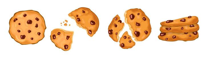 A set of homemade country cookies with chocolate chips, Sweet delicious cookies in a jar and slices, crumbs. vector