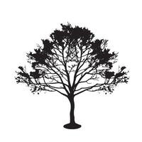 Beech Tree Silhouette for Nature-Inspired Designs vector
