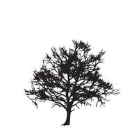 Beech Tree Outline Silhouette for Creative Use vector
