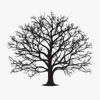 Majestic Beech Tree Silhouette on Clean White Backdrop vector