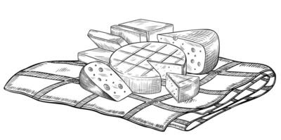 Cheese on checkered tablecloth illustration. Linear drawing of dairy products painted by black inks. Outline etching of food for recipe in cookbook or menu. Vintage engraving. vector