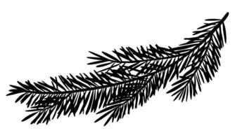 illustration with silhouette of Pine or Fir branches. Drawing with Christmas tree for New Year greeting cards or holiday invitations. Black shadow of Coniferous twig for Xmas. Botanical etch. vector