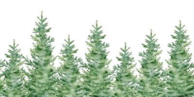 Christmas tree seamless Border. Watercolor illustration of pattern evergreen Spruces on isolated background. Drawing of frame with fir evergreen plant for banners or Xmas invitations. vector