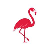 Flamingo on a white background. vector