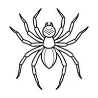 Black and white outline of a spider with detailed legs and body, drawn in a minimalist style vector