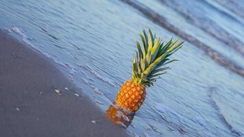 Sea covers in slow motion a pineapple on the sand video