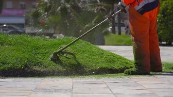 A worker cuts grass with lawn mower video