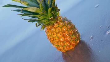 Pineapple placed on the wet beach with beautiful reflections video
