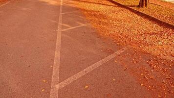 Asphalt road with fallen golden leaves and parking lines video