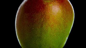 Half ripe mango rotates on isolated black background video
