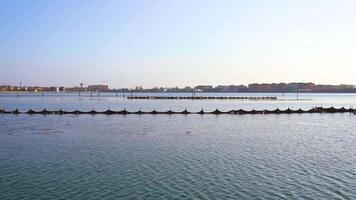 Fishing nets in the middle of a river in front of the city video