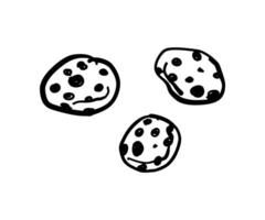 Peanut cookies with chocolate drawn in doodle style. illustration for design. vector