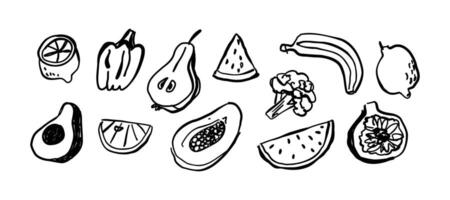 Set with different vegetables and fruits in doodle style. illustration for design. vector