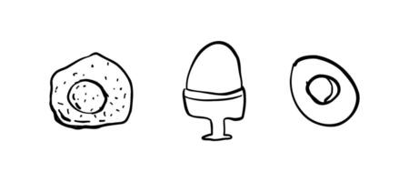 A set with eggs of different cooking methods. illustration for design. vector