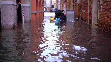 Plastic bottles and trash float on high flood water surface video