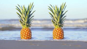 Pineapples on the wet sand at the sea video