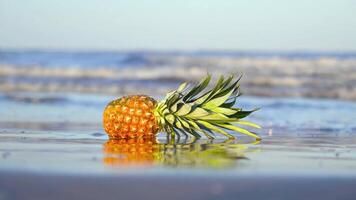Pineapple lying on the sand washed by the waves of the sea video