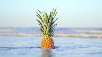 Sea covers in slow motion a pineapple on the sand video