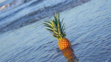 Sea waves bathe pineapples on the sand video