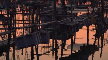 Containers with fish hanging on poles in the water video