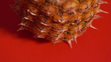 Pineapple close up placed on red background video