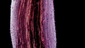 Purple striped eggcup spins up close on black background video