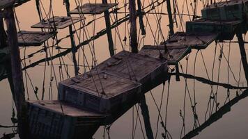 Containers with fish hanging on poles in the water video