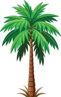 beautiful flat palm tree illustration for design with leaves vector