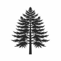 tall pine tree with root silhouette illustration for design with branch vector