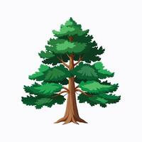 a big pine tree with spread branch full green leaves illustration for design vector