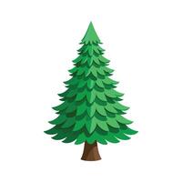 flat pine tree illustration for evergreen natural design vector