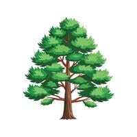 tall pine tree with root illustration for design with branch vector