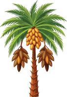 realistic palm tree with palm illustration tropical coconut tree vector