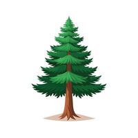 tall pine tree with root illustration for design with green leaves vector