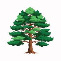 green pine tree illustration with branch for flat design vector