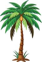 palm tree illustration with leaves for tropical coconut tree design vector