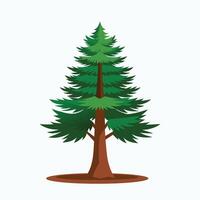 pine tree with branch full green leaves illustration for design vector