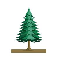 single pine tree flat illustration for design with branch vector