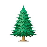 pine tree illustration for design on white background vector