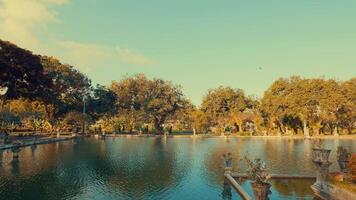 Tranquil Pond Surrounded by Lush Greenery video