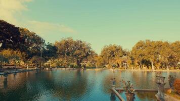 Tranquil Pond Surrounded by Lush Greenery video