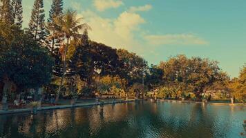 Tranquil Pond Surrounded by Lush Greenery video