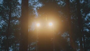 Illuminated Structure in a Misty Forest video