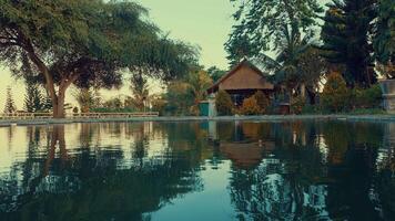 Tranquil Pond with Rustic House and Lush Greenery video