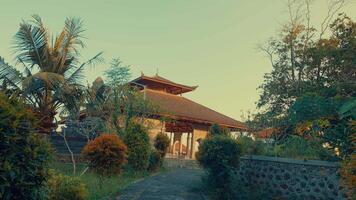 Traditional Building Surrounded by Lush Greenery video