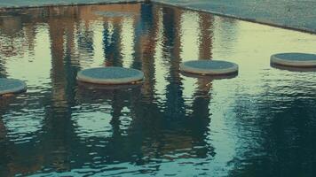 Stepping Stones in Reflective Pond video