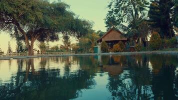 Serene Pond Reflection with Lush Greenery video
